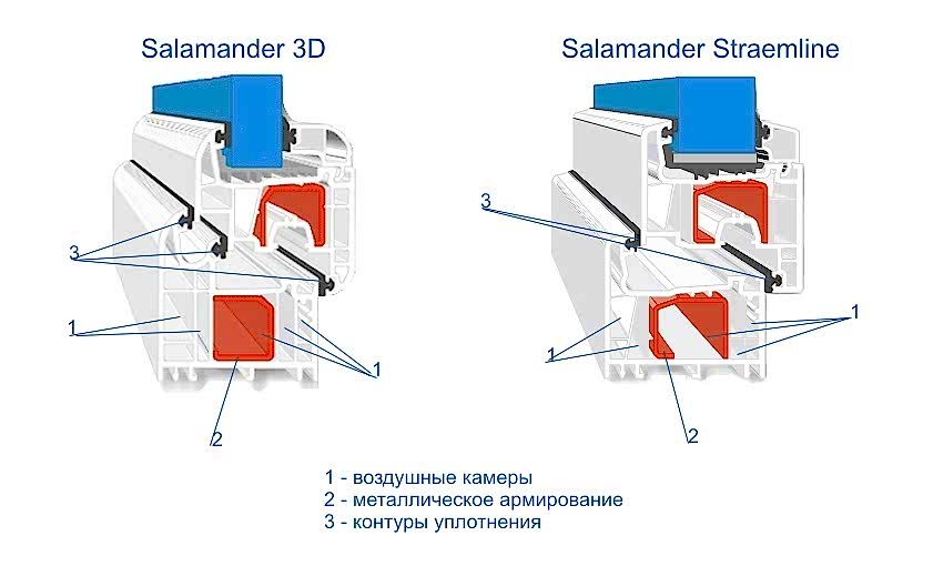 salamander-profil