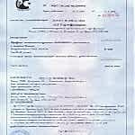 Сертификат соответсвия Века